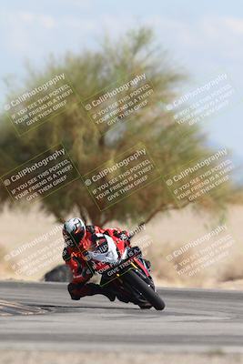 media/Oct-13-2025-Moto Forza (Mon) [[a66d839500]]/3-B Group/Session 4 Turn 4 Tree of Life/